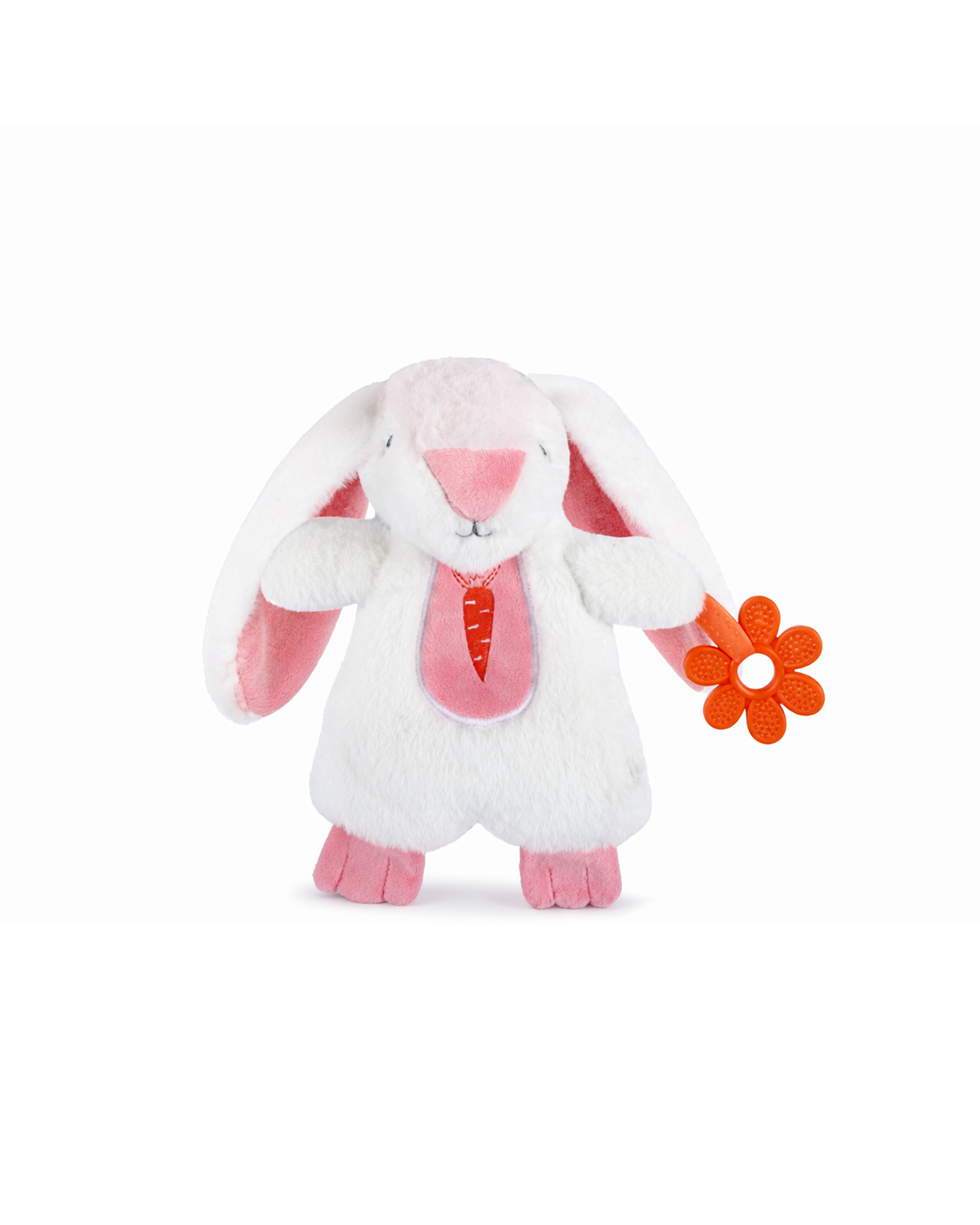 Tavşan Diş Kaşıyıcı