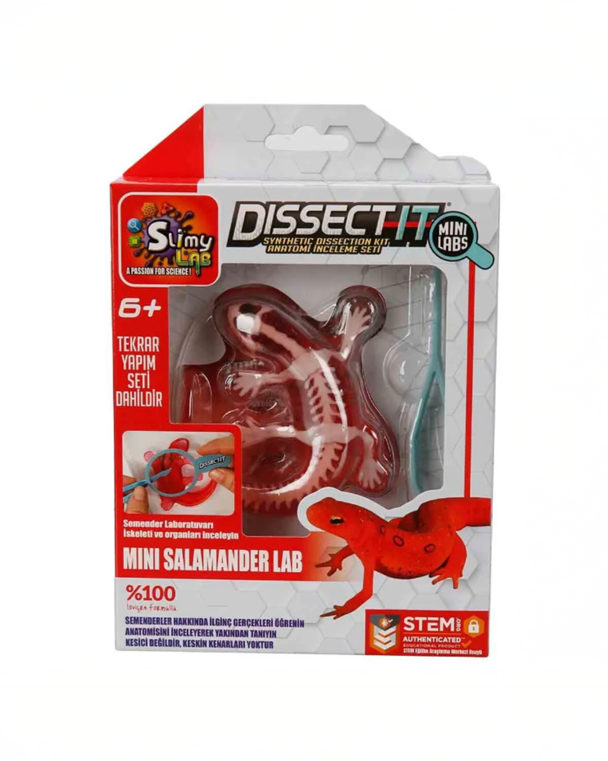Slimy Lab Mini Semender Laboratuvarı