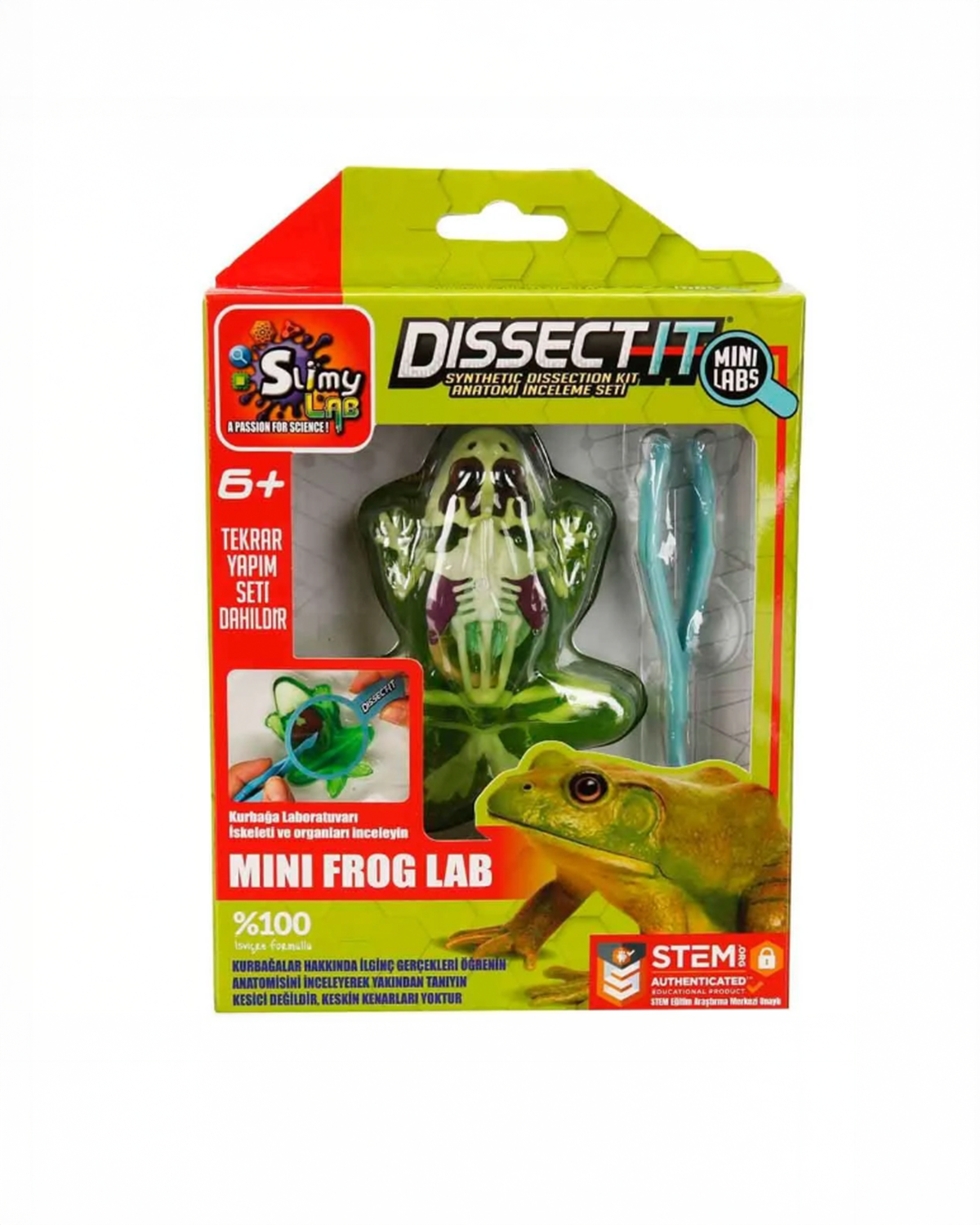 Slimy Lab Mini Kurbağa Laboratuvarı