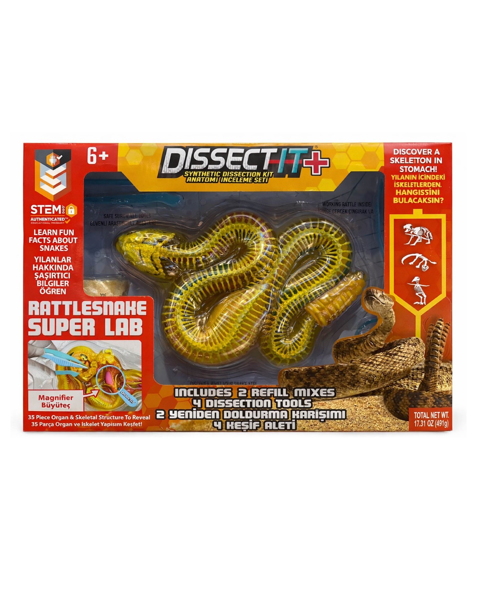 Dissect It Rattlesnake Super Lab Yılan Diseksiyon Deney Seti, Sürpriz İskeletli Oyuncak 35+ Parça